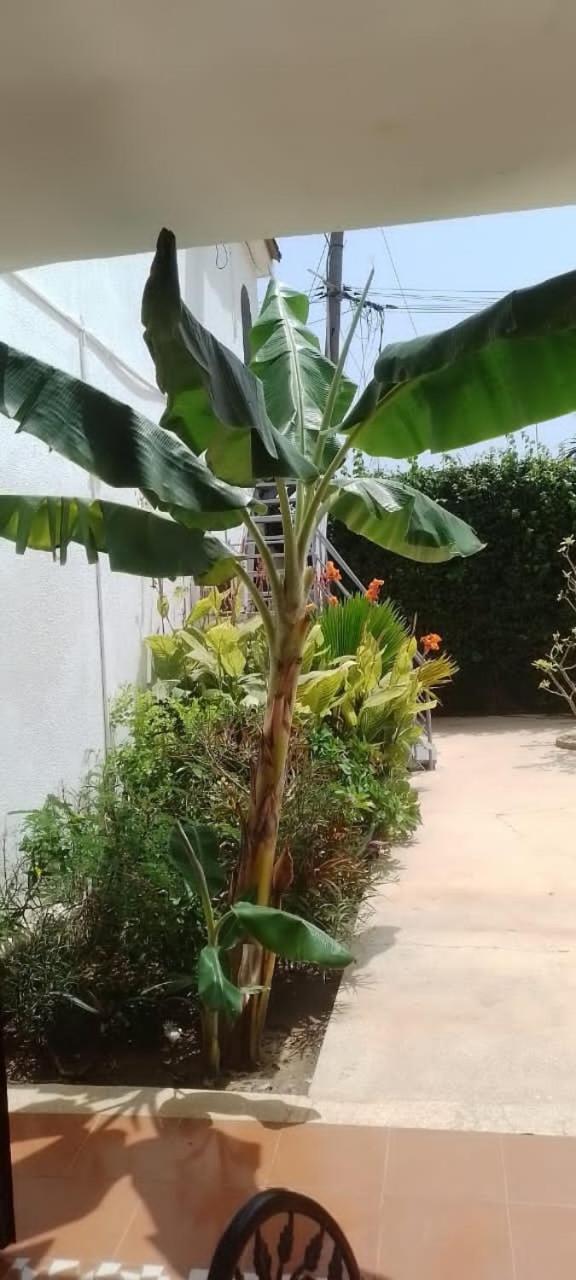 Riad côté jardin Saly Portudal Extérieur photo